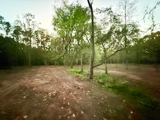 193 Melrose Place, Moncks Corner, SC 29461