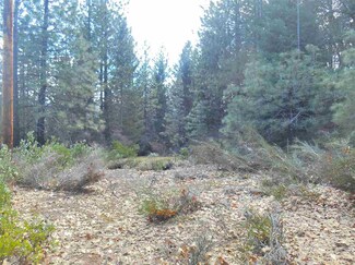 Lot 18 Panorama Dr, Dunsmuir, CA 96025