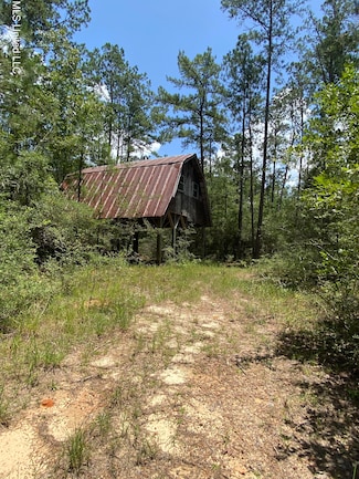 0 Bear Dr, Carriere, MS 39426