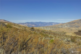 0 LOT 4 McNeil Canyon Rd, Orondo, WA 98843