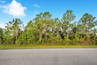 4324 Bancroft Blvd, Wedgefield, FL 32833
