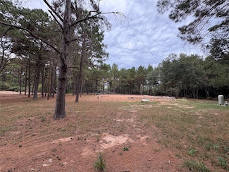 19602 Fisher Dr, Willow Bend Estates, TX 77377