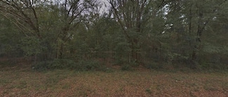 1411 Hugh St, Interlachen, FL 32148