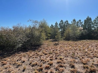 TBD S Mockingbird Ln, Bastrop, TX 78602