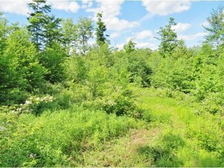 0 Town Farm Rd Unit 4859679, Cavendish, VT 05142