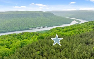1251 Mullins Point, Guild, TN 37340