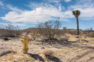 4 Burke Rd, Johnson Valley, CA 92285
