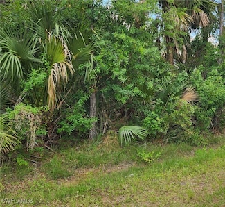 0 Thomas Ln Unit 225018927, North Port, FL 34286
