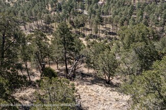 Lot 13 Stable Rd, Alto, NM 88312