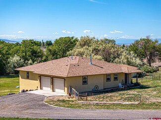 20260 Fawn Cir, Eckert, CO 81418