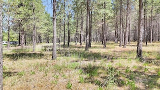 xxx Casberg-Burroughs, Deer Park, WA 99006