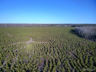 Parcel 2 16 Mile Lake Rd, Au Train Township, MI 49862