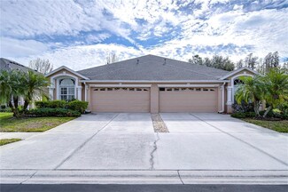 30826 Prout Ct, Wesley Chapel, FL 33543