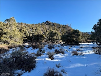 0 P-19 Butte Valley Unit 2689404, Ely, NV 89301