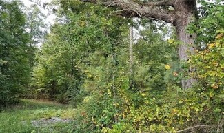 0 Oak Grove Loop Unit 1936451, Amelia, VA 23002