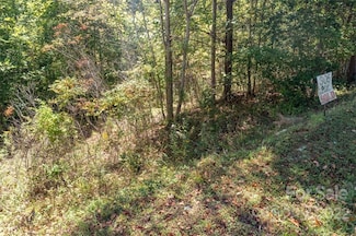 00 Rock Ledge Dr Unit 305, Lake Lure, NC 28746