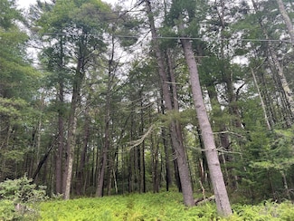 0 Crystal Lake Rd, Narrowsburg, NY