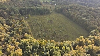6647 Colton Rd, La Fayette, NY 13084