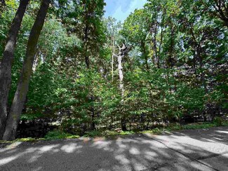 Unit 32 Golf Meadow Dr, Kearney Township, MI 49615