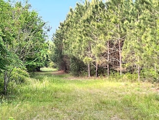 0 Georgia 257, Dublin, GA 31021