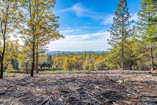 6533 Shoo Fly Rd, Placerville, CA 95667