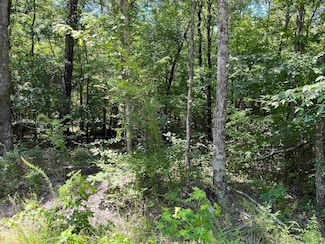 2 Murillo Cir, Hot Springs Village, AR 71909