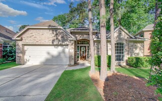 11 Sweet Birch Place, Spring, TX 77382