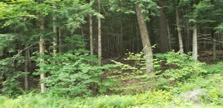 0 Swanzey Lake Rd, Swanzey, NH 03446