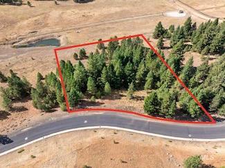 TBD Lupine Ln, McCall, ID 83638
