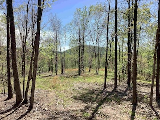 South Tract N Chaparral Ln, Mena, AR 71953