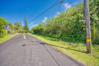 94-1687 Kaulua St, Naalehu, HI 96772
