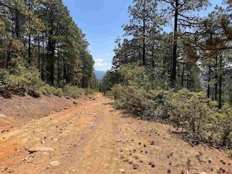 3 Forest Lakes Dr, Bayfield, CO 81122