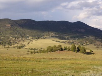 0 Guffey Colorado 80820 Unit 6663416, Guffey, CO 80820
