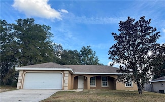 6605 SW 129th Loop, Ocala, FL 34473