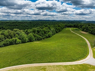 166 Hester Ridge Rd, Wallingford, KY 41093
