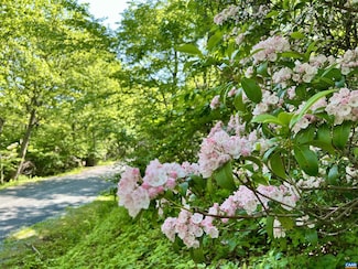 62 Split Rock Trail, Rockfish, VA 22967