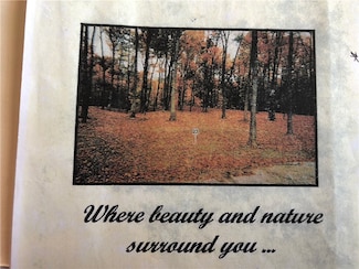 Lot # 10 Riverwood Estates Dr, Danville, IL 61834