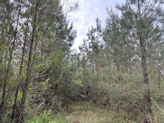 0 Stateline Copeland Rd, State Line, MS 39362
