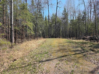 1567 N Shore Rd, La Pointe, WI 54850