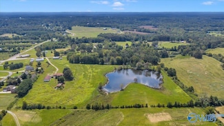 7735 County Road 170, Trinity, AL 35673