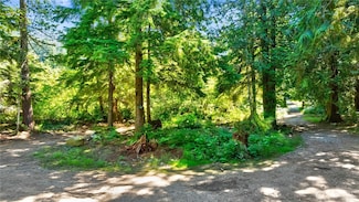 15528 May Creek Rd, Gold Bar, WA 98251