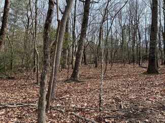 LOT 4 Monument Falls Rd, Jasper, GA 30143