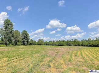 1416 Kelley Rd, Olanta, SC 29114