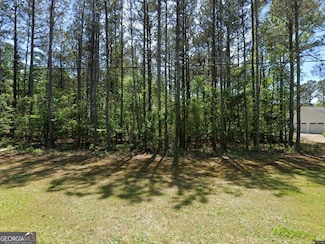 9127 E Carroll Rd, Winston, GA 30187