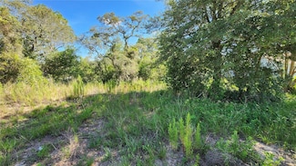 12501 Centennial St, Spring Hill, FL 34609