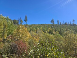 242X Quinns Meadow Rd, Colville, WA 99114