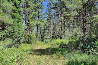 30 & TBD Syringa Dr, Garden Valley, ID 83622