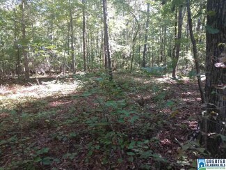 8571 Ruth Dr, Bessemer, AL 35023