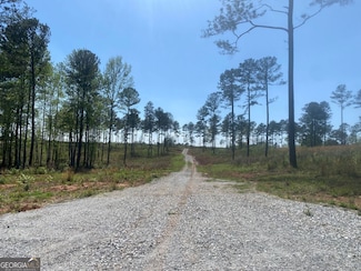 LOT 3 Giles Rd, Forsyth, GA 31029