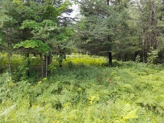 000 Cr 429, McMillan, MI 49853